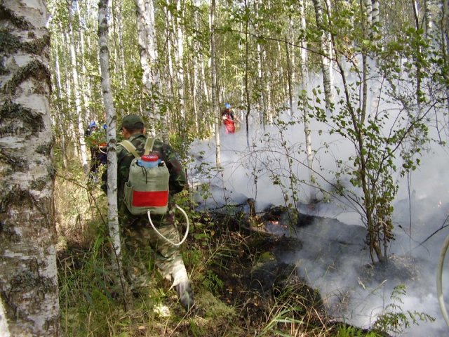 Заводчане на пожарах 2010 года